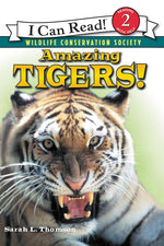 Book cover for Amazing Tigers!