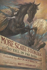 Book cover for More Scary Stories to Tell in the Dark