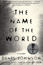 Book cover for Name of the World (Perennial)
