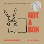 Book cover for Not a Box