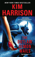 Book cover for The Outlaw Demon Wails