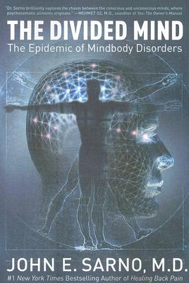 Book cover for The Divided Mind: The Epidemic of Mindbody Disorders