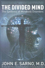 Book cover for The Divided Mind: The Epidemic of Mindbody Disorders