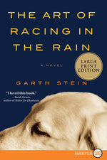 Book cover for The Art of Racing in the Rain