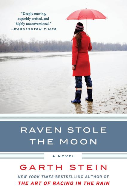Book cover for Raven Stole the Moon