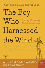 Book cover for The Boy Who Harnessed the Wind