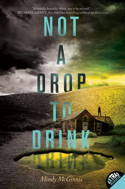 Book cover for Not a Drop to Drink