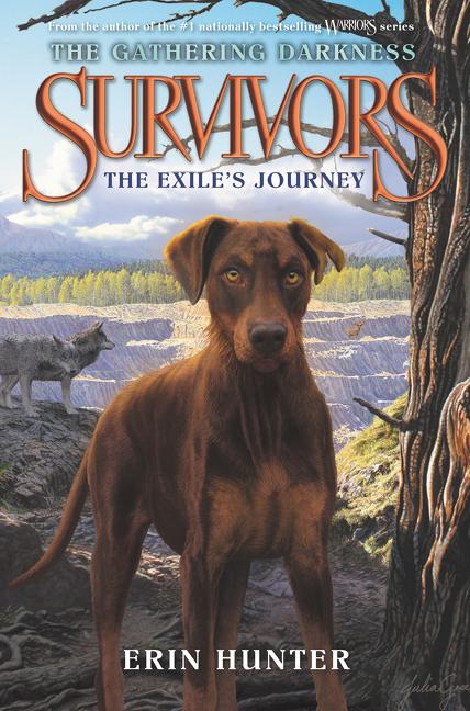 Book cover for Survivors: The Gathering Darkness: The Exile's Journey