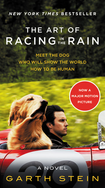 Book cover for Art of Racing in the Rain Movie Tie-In Edition