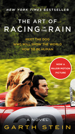 Book cover for Art of Racing in the Rain Movie Tie-In Edition