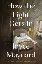 Book cover for How the Light Gets in