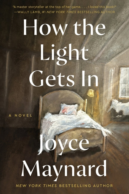 Book cover for How the Light Gets in