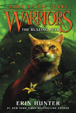 Book cover for Blazing Star