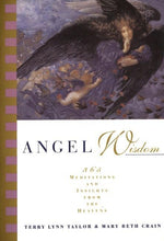 Book cover for Angel Wisdom