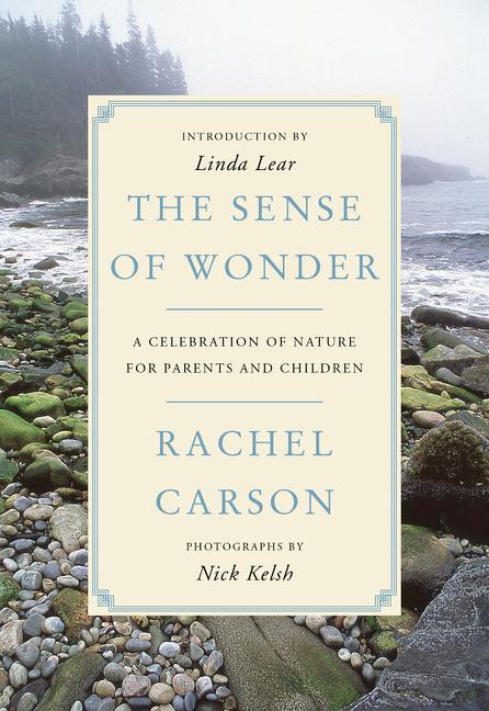 Book cover for The Sense of Wonder: A Celebration of Nature for Parents and Children