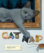 Book cover for Cat Nap