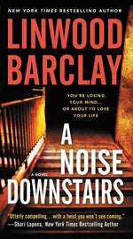 Book cover for Noise Downstairs