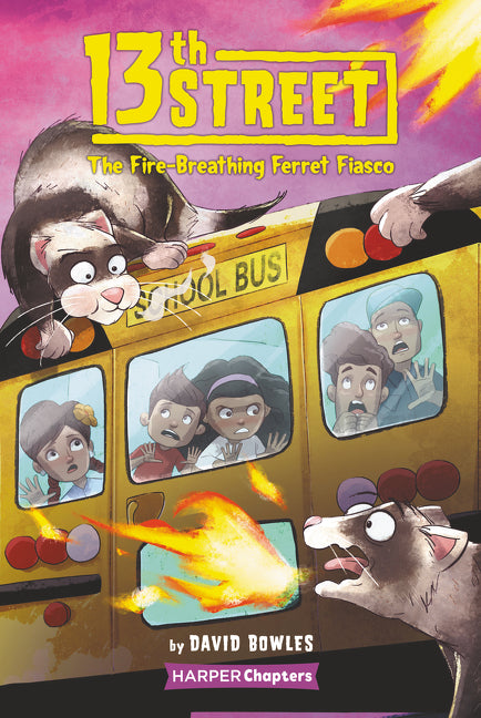 Book cover for 13th Street #2: The Fire-Breathing Ferret Fiasco