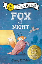 Book cover for Fox at Night