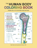 Book cover for Human Body Coloring Book: From Cells to Systems and Beyond