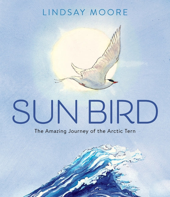 Book cover for Sun Bird: The Amazing Journey of the Arctic Tern