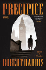 Book cover for Precipice