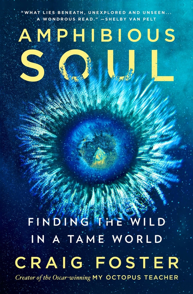 Book cover for Amphibious Soul: Finding the Wild in a Tame World