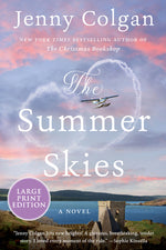 Book cover for Summer U.S. Skies