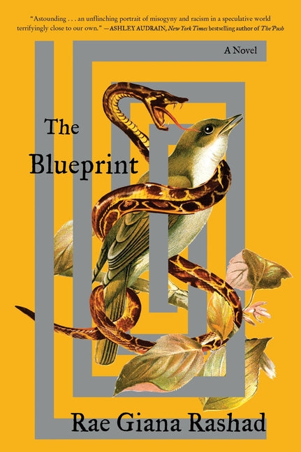 Book cover for Blueprint