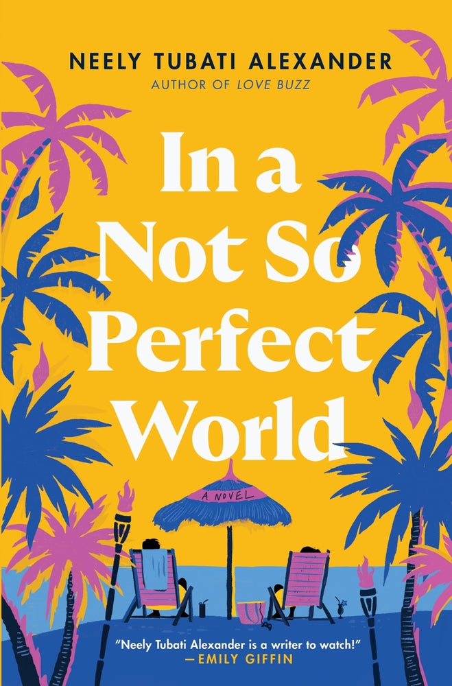 Book cover for In a Not So Perfect World
