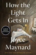Book cover for How the Light Gets in