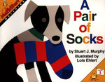 Book cover for A Pair of Socks