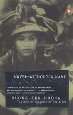 Book cover for Novel Without a Name