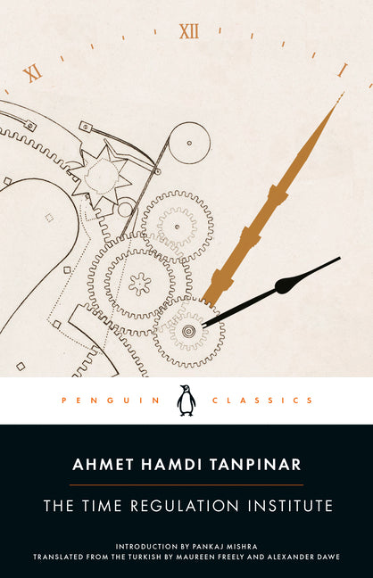 Book cover for Time Regulation Institute