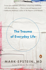 Book cover for Trauma of Everyday Life
