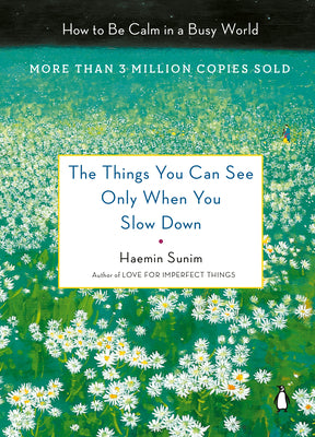 Book cover for The Things You Can See Only When You Slow Down: How to Be Calm in a Busy World
