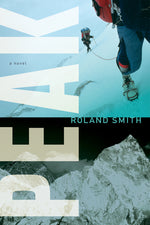 Book cover for Peak