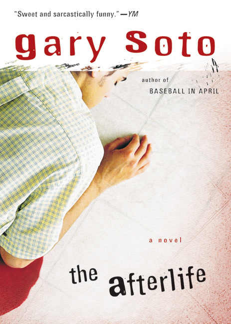 Book cover for Afterlife