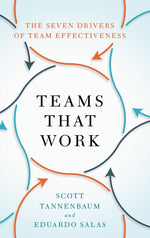 Book cover for Teams That Work: The Seven Drivers of Team Effectiveness