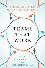 Book cover for Teams That Work: The Seven Drivers of Team Effectiveness