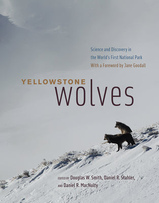 Book cover for Yellowstone Wolves: Science and Discovery in the World's First National Park