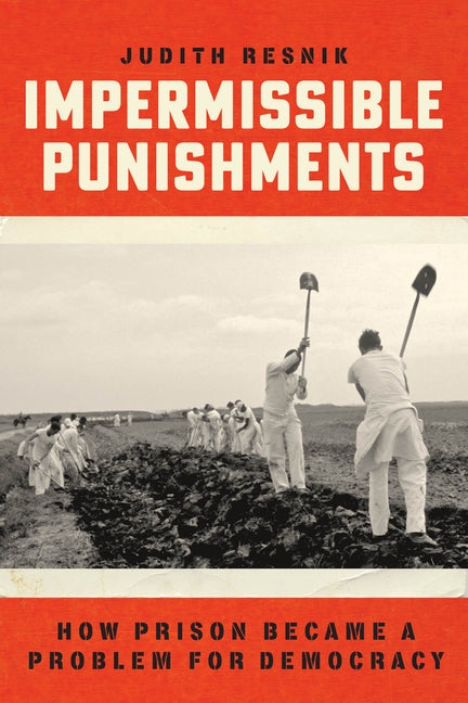 Book cover for Impermissible Punishments: How Prison Became a Problem for Democracy