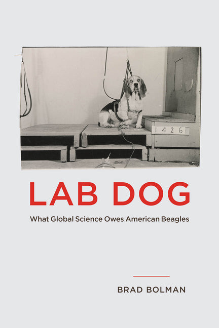 Book cover for Lab Dog: What Global Science Owes American Beagles