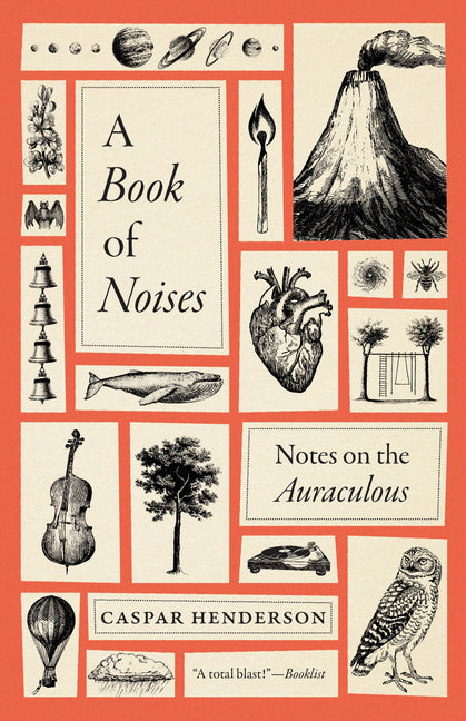 Book cover for Book of Noises: Notes on the Auraculous
