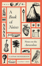 Book cover for Book of Noises: Notes on the Auraculous