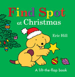 Book cover for Find Spot at Christmas