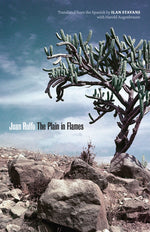 Book cover for The Plain in Flames
