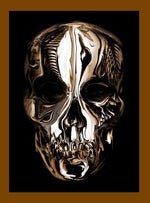 Book cover for Alexander McQueen: Savage Beauty