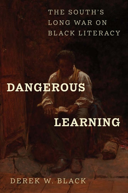 Book cover for Dangerous Learning: The South's Long War on Black Literacy