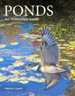 Book cover for Ponds: An Illustrated Guide